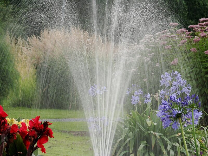 Automatische Bewässerung & klimafreundliche Bepflanzung vom Fachbetrieb